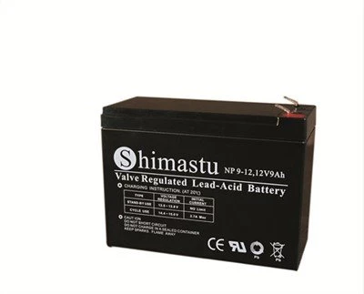 12V 9Ah Batterija Rechargeable